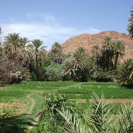 Palmeraie Guest House Tinghir Exterior photo