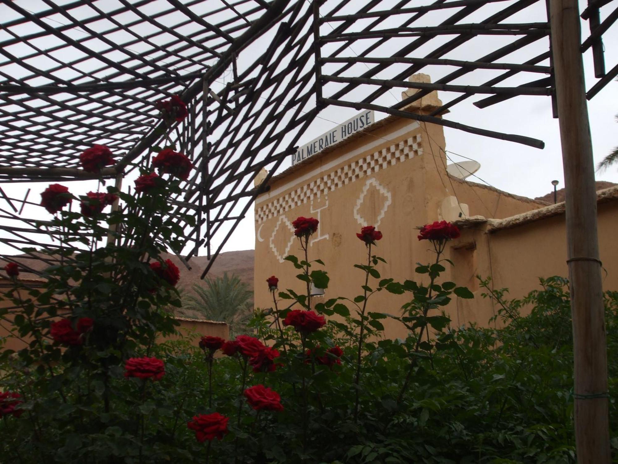 Palmeraie Guest House Tinghir Exterior photo